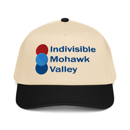 IMV Logo 5 panel cap political activism hat Democracy First
