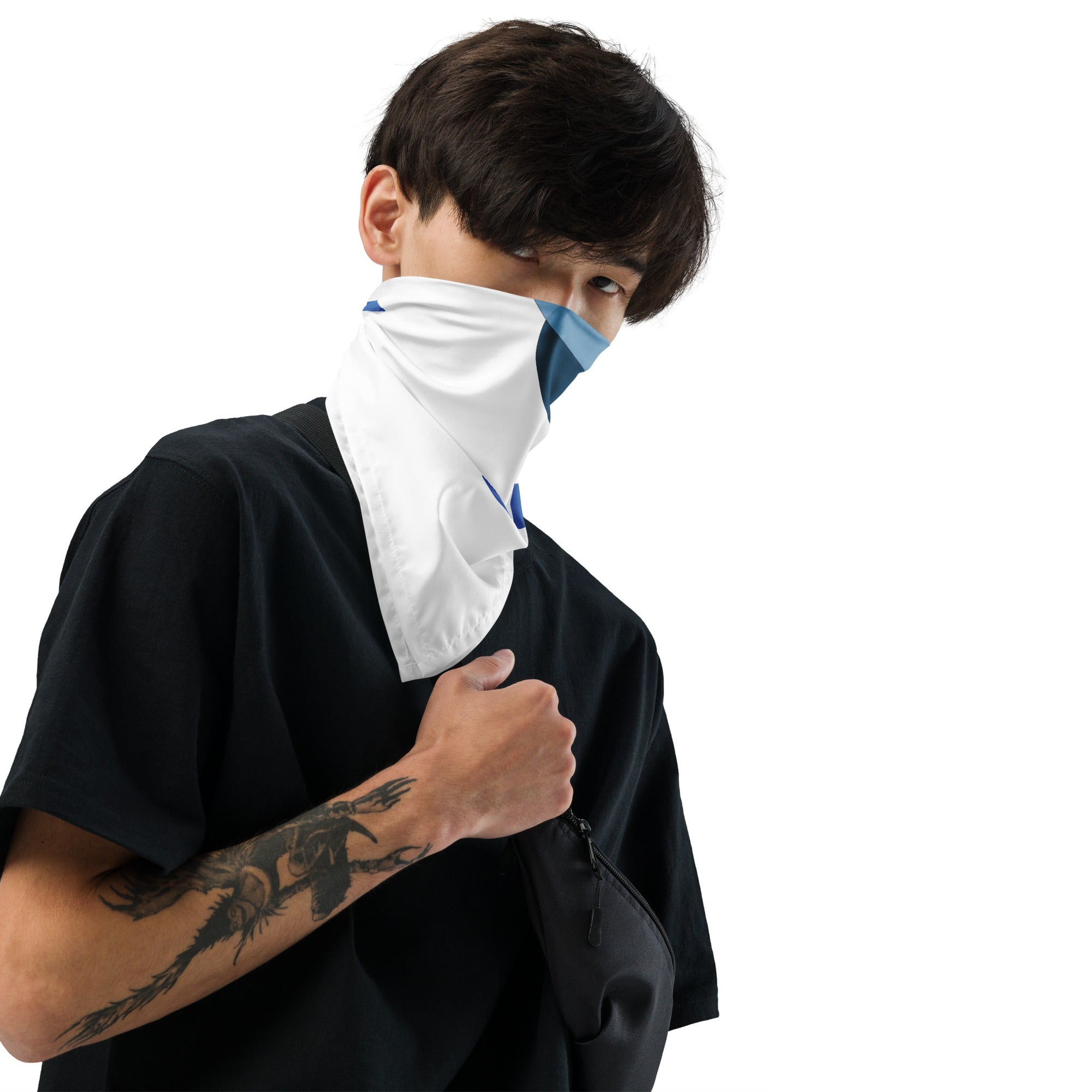 Pet Bandana-All-over print bandana Secondary image