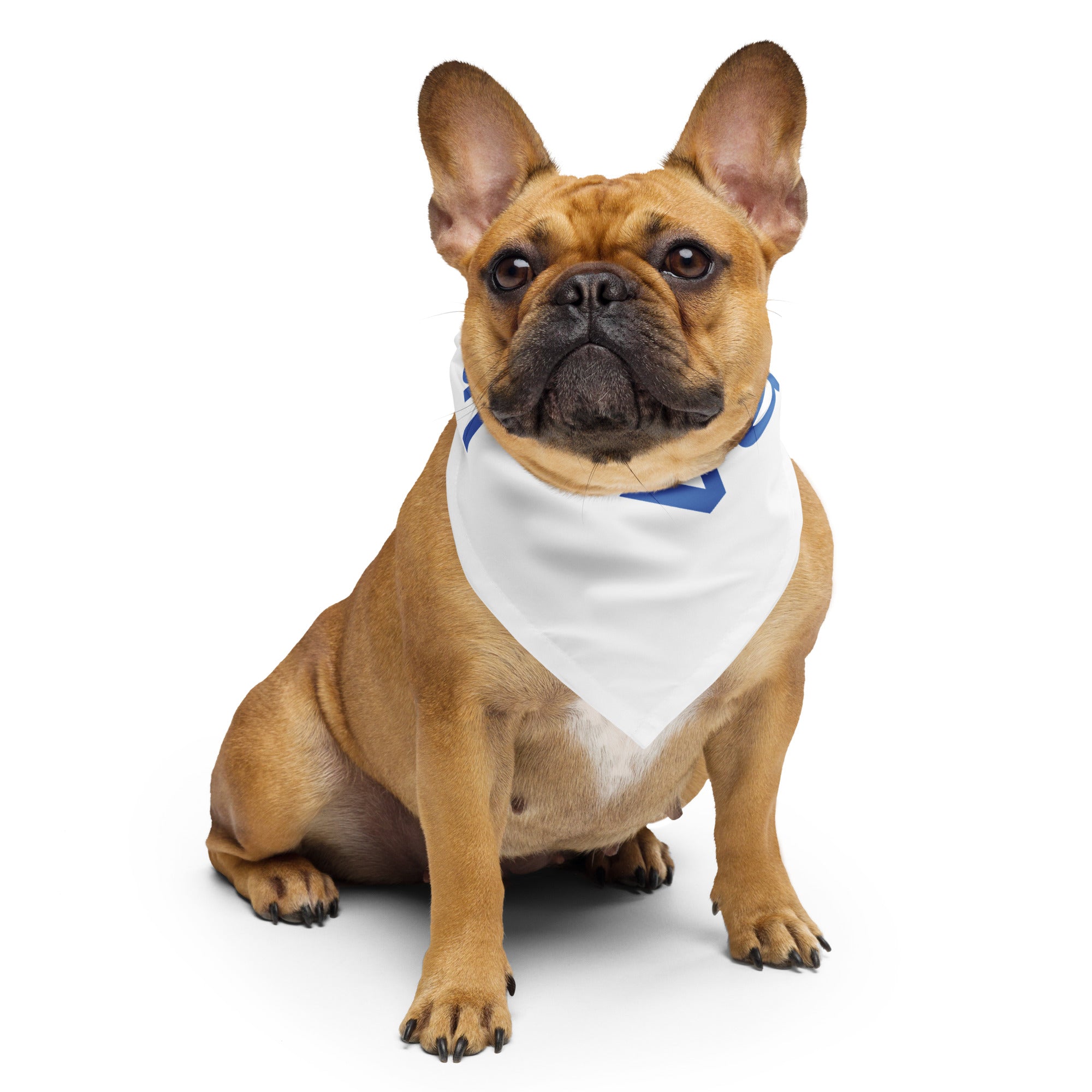 Pet Bandana All over print bandana political activism pet bandana Democracy First Main image