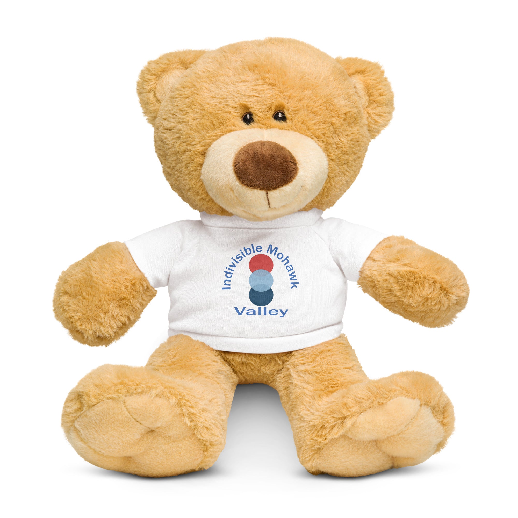 IMV-Teddy bear with a t-shirt Main image
