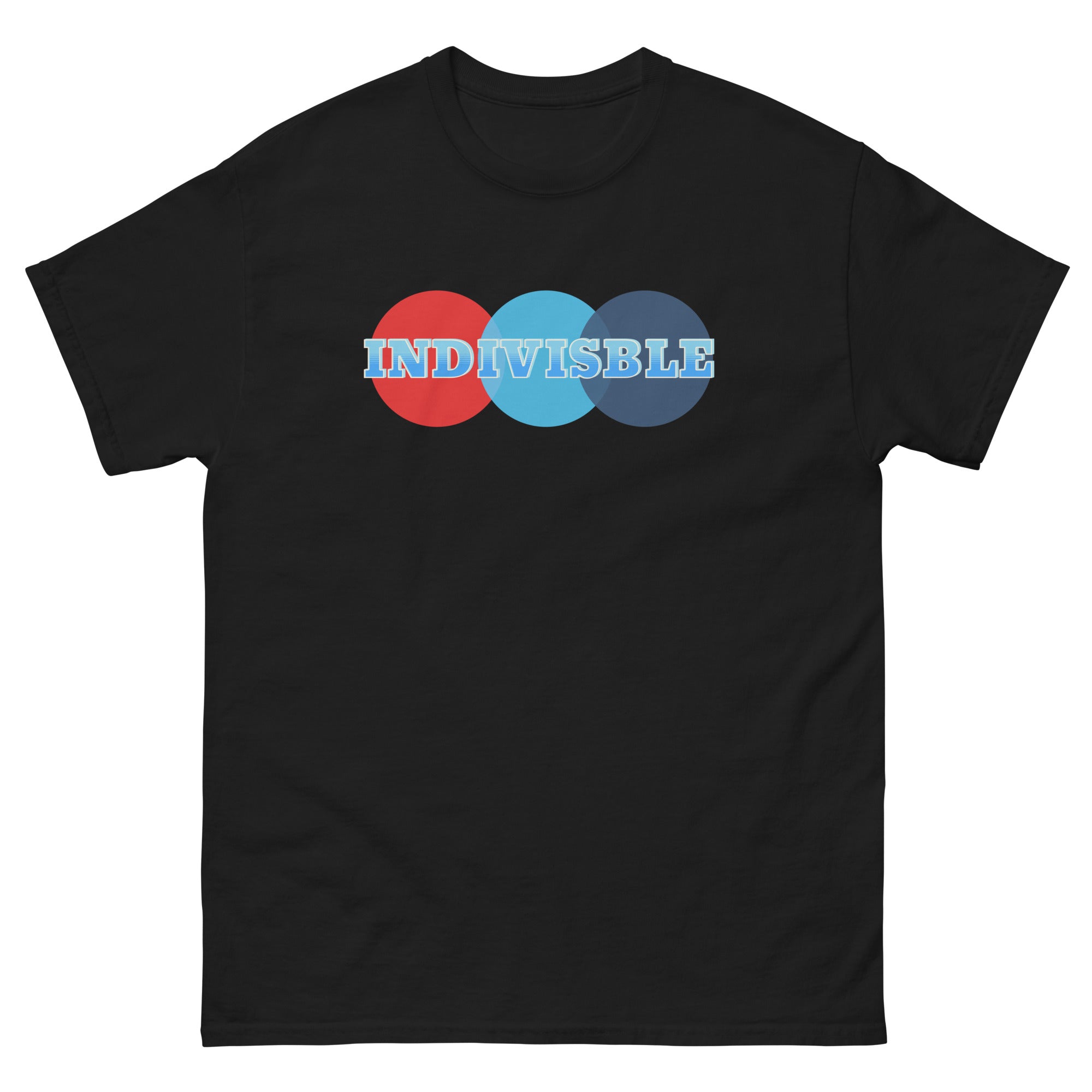 Indivisible Unisex classic tee political activism t-shirt Democracy First Main image