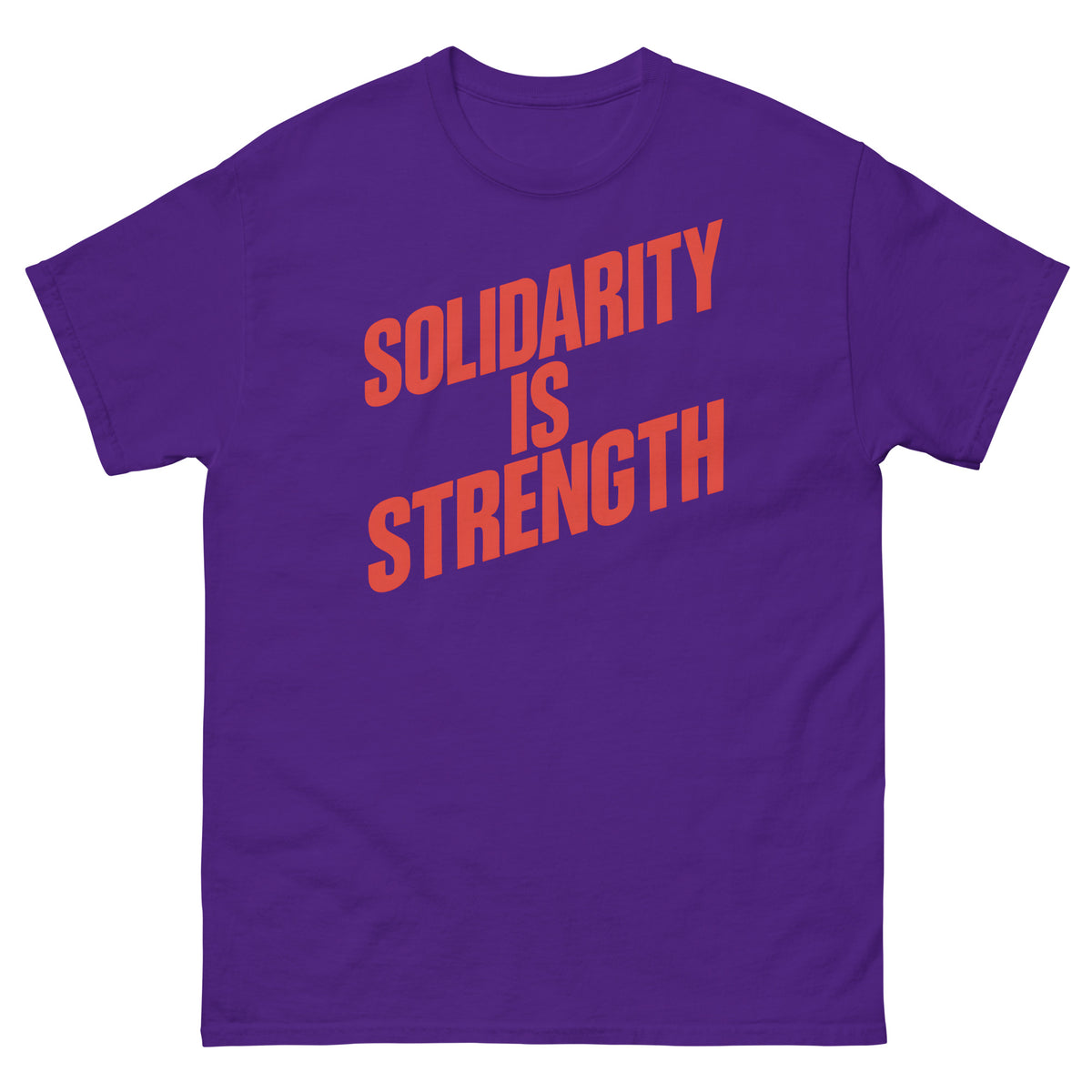Solidarity Motto Unisex Classic Tee political activism t-shirt Democracy First